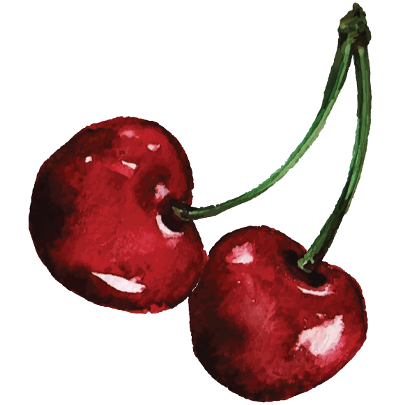 2 cherries design