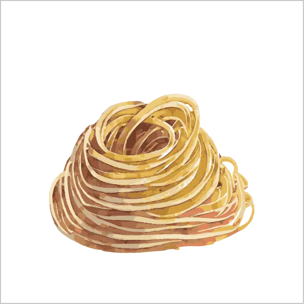 our spaghetti design