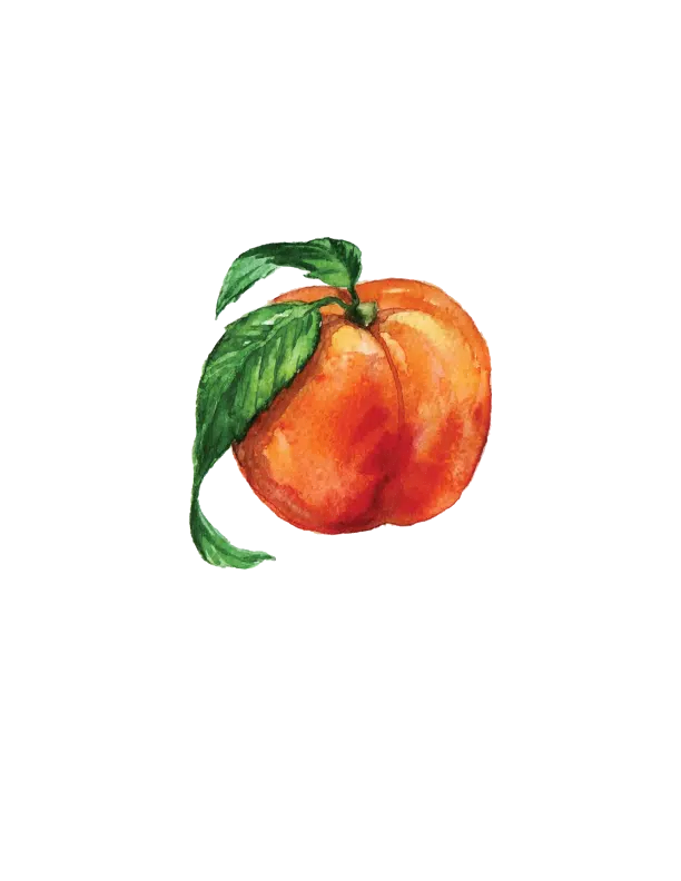 peach design