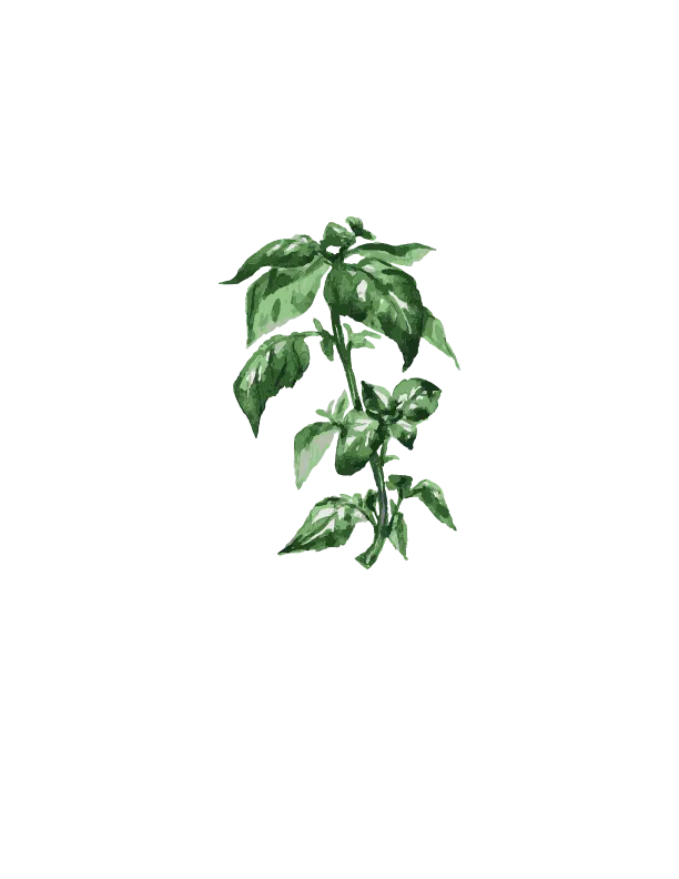 herb design